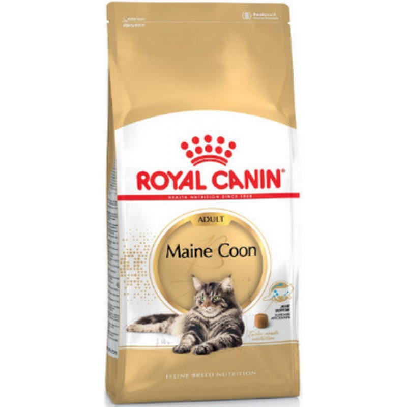 Royal Canin Feline Breed Nutrition maine coon πλήρης τροφή για γάτες Maine Coon άνω των 25 μηνών