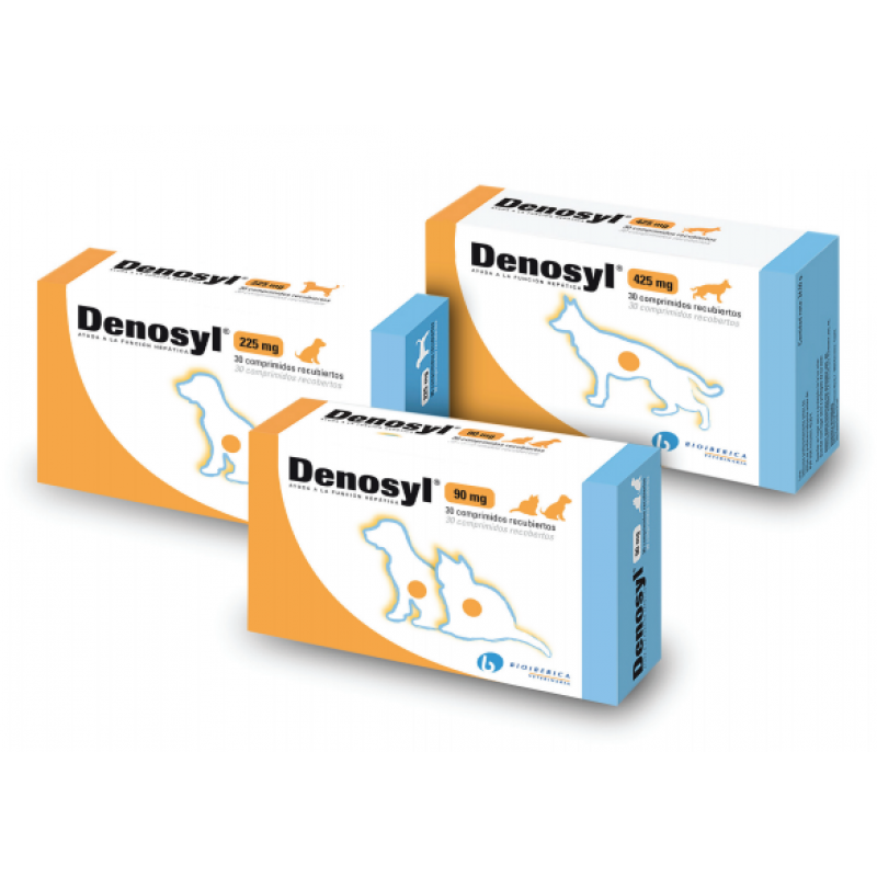 BIOIBERICA DENOSYL ΔΙΑΤΡΟΦΙΚΟ ΣΥΜΠΛΗΡΩΜΑ