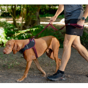 Rogz dogz οδηγός σκύλου AirTech Classic Μαύρο με ανακλαστική ραφή για ασφάλεια σε κάθε βραδινή βόλτα