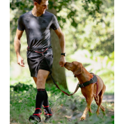 Rogz dogz οδηγός & ζώνη σκύλου AirTech Sport Κόκκινο με κουμπί άμεσης απασφάλισης από τον οδηγό